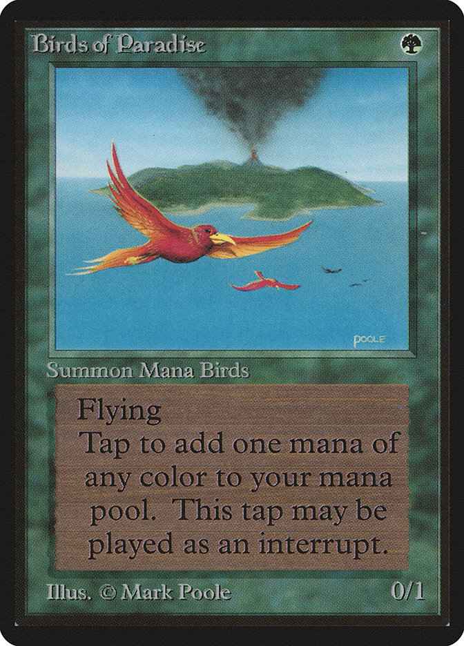 leb-187-birds-of-paradise